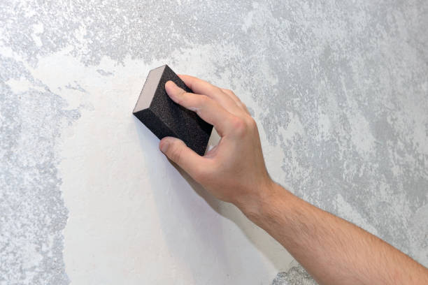 Best Comprehensive Air Testing for Mold Contaminants  in Coleman, MI