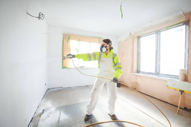 Best Mold Damage Restoration  in Coleman, MI