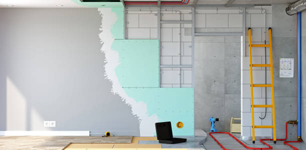Best Basement Mold Removal  in Coleman, MI