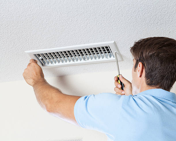 Professional Mold Removal in Coleman, MI
