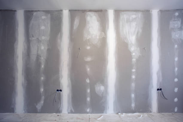 Best Crawl Space Mold Remediation  in Coleman, MI